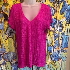 🌸Moda International, Pink, Stretch Lace, Short Sleeve, V-Neck Top in XL